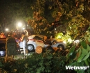 Hà Nội: Cây đổ la liệt, một người tử vong sau cơn mưa lớn