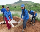 Đoàn Thanh niên Khối các cơ quan tỉnh tình nguyện tại Tiên Yên, Hải Hà